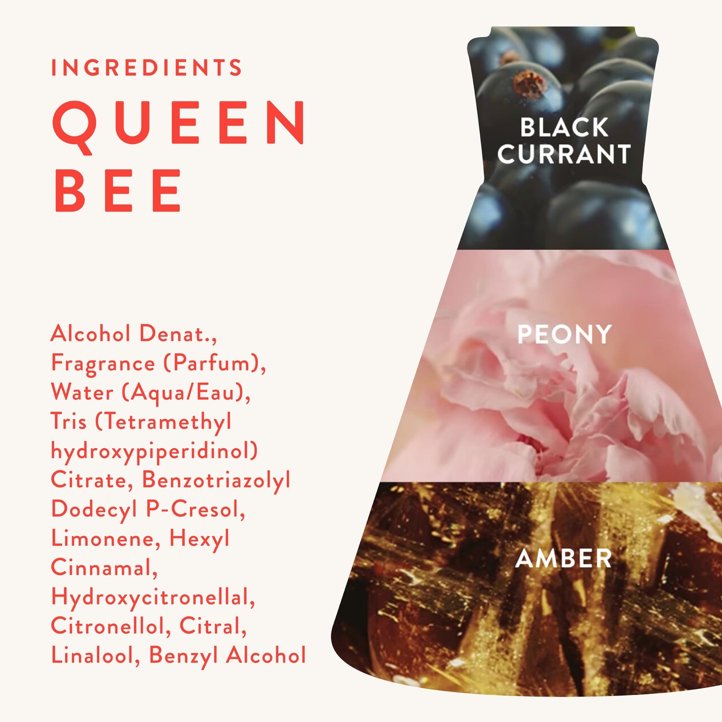 Good Chemistry Queen Bee Body Mist 5 fl oz - Light, Fruity, Floral Spray with Black Currant, Peony, & Amber - Bold, Clean & Vegan Beauty & Personal Care Good Chemistry