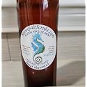 Native Salt Scrubs Eucalyptus Mint Hair and Body Wash Beauty & Personal Care Native Salt Scrubs