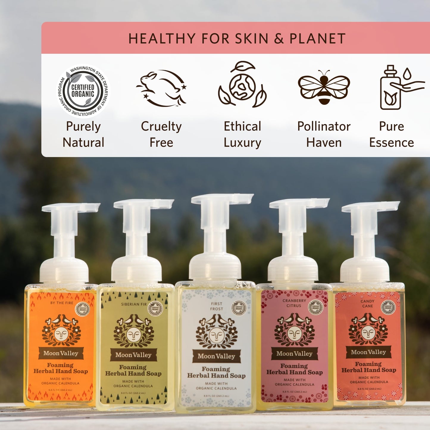 Moon Valley Herbal Foaming Hand Soap, Vegan (Candy Cane, Recyclable Bottle) Beauty & Personal Care Moon Valley Organics