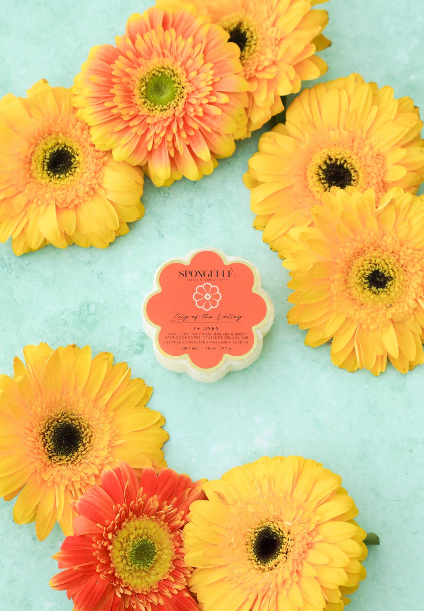 Spongellé Lily of The Valley Daisy Spongette Bath Sponge - Built-in Body Wash & Body Scrubber, Shower Loofah Sponge for Women, Travel Essentials - 7+ Beauty and Personal Care SPONGELLÉ