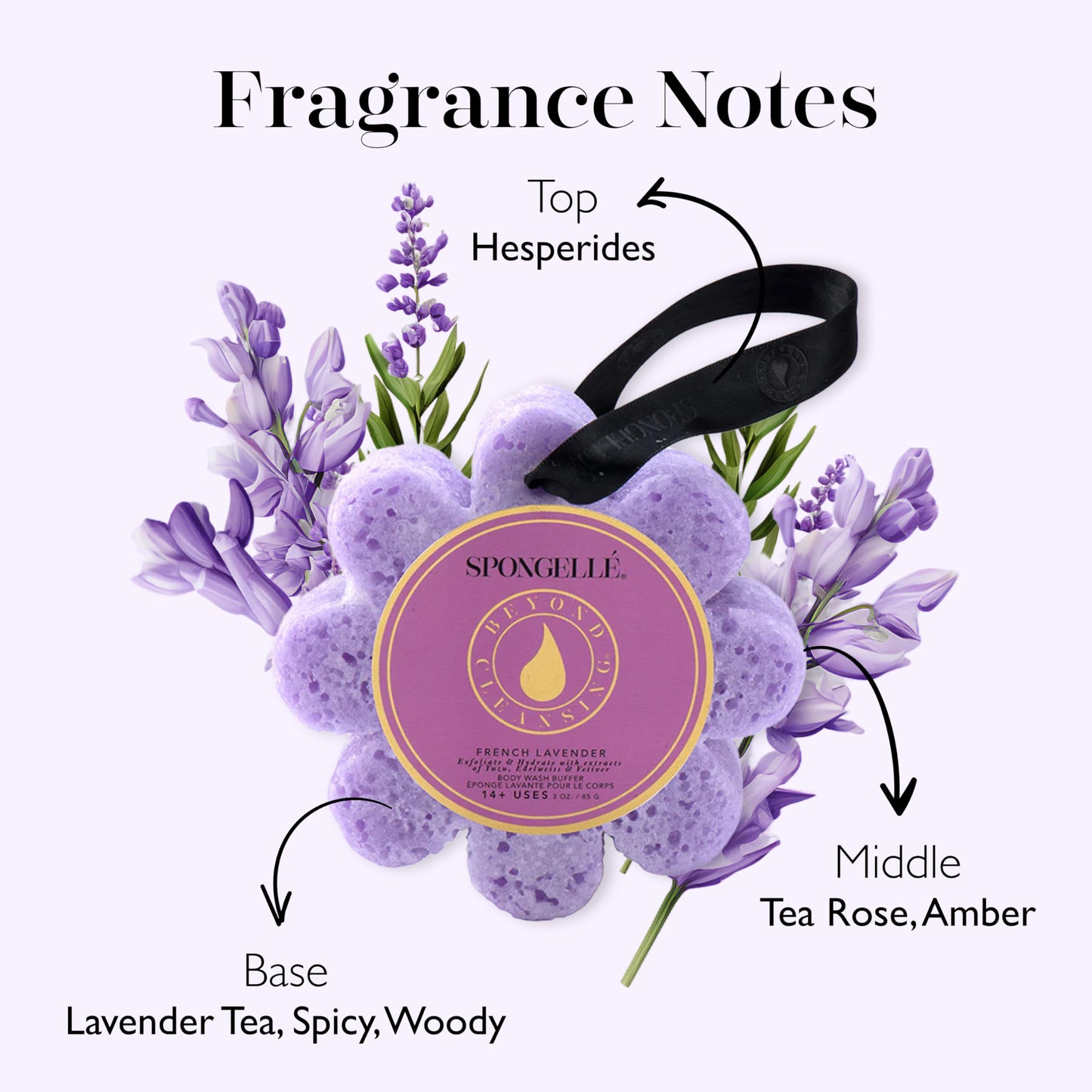 Spongellé French Lavender Wild Flower Bath Sponge - Built-in Body Wash & Body Scrubber, Shower Loofah Sponge for Women - 14+ uses Beauty and Personal Care SPONGELLÉ