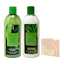 Bath & Body Works Waikiki Beach Coconut - Moisturizing Shampoo and Moisturizing Conditioner with a Himalayan Salts Springs Sample Soap Beauty & Personal Care Bath & Body Works