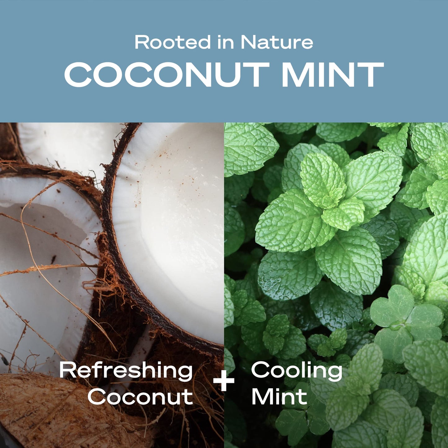 Hey Humans Coconut Mint Moisturizing Body Wash with Natural Ingredients & Jojoba Oil | Clean, Vegan, Sulfate Free Bath & Body Wash for Women & Men | Beauty & Personal Care HEY HUMANS