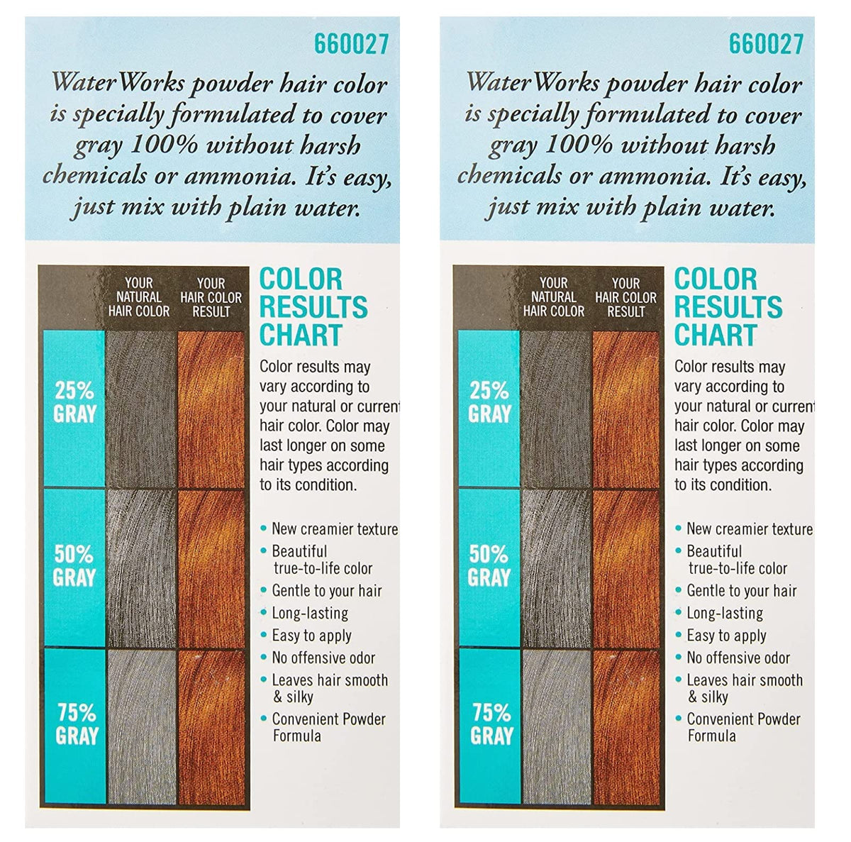 Water Works Permanent Powder Hair Color - #27 Natural Light Brown 0.2 oz. (Pack of 2) Beauty & Personal Care Water Works