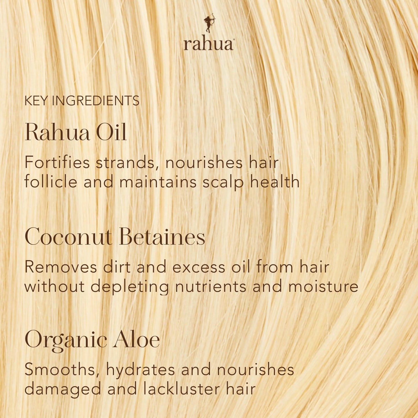 Rahua Classic Hair Conditioner, Vegan Hydrating Hair Care Oil, Quinoa, Organic Aloe Vera, Rosemary, Natural Palo Santo for Scalp Care, Promotes Beauty & Personal Care Rahua