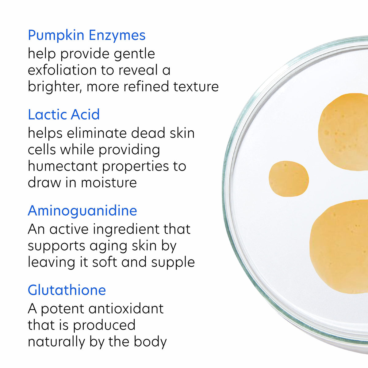 PCA SKIN Hydrating Toner for Face, Nutrient Face Toner for Sensitive Skin, Dry Skin, and Aging Skin, Helps Refine, Brighten, and Exfoliate The Face Beauty & Personal Care PCA SKIN