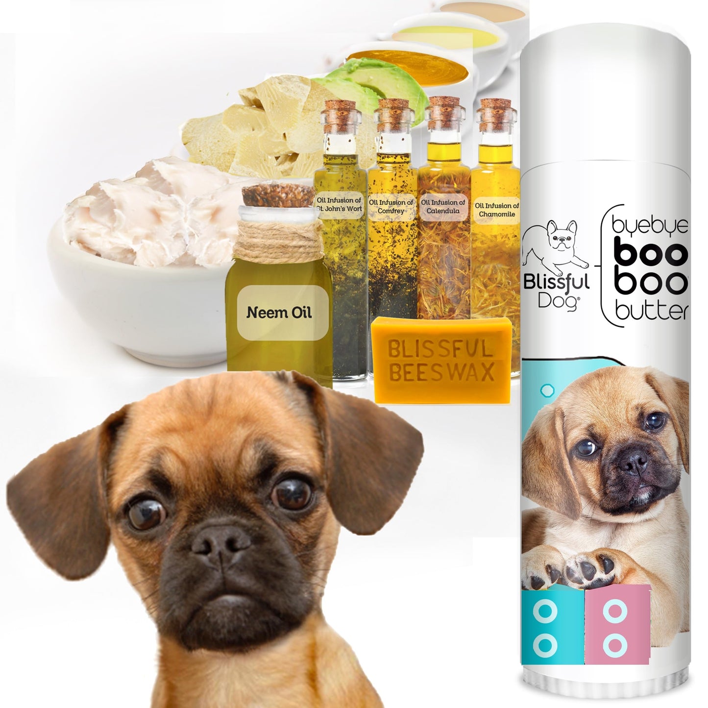 The Blissful Dog Puggle Boo Boo Butter, 0.50-Ounce Beauty and Personal Care The Blissful Dog