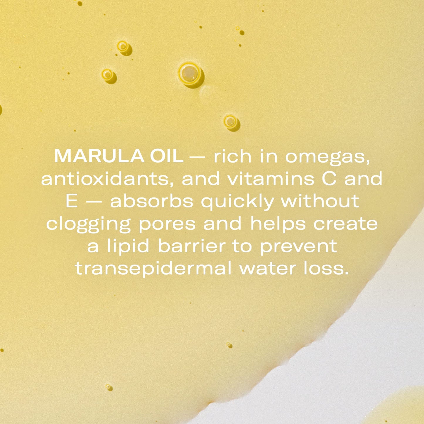 Odacité Anti Aging Serum Concentrate with Marula + Neroli, Elasticity Glow Recipe - Facial Oil for Hydration, Skin Texture & Visibly Smoother and More Beauty & Personal Care ODACITE