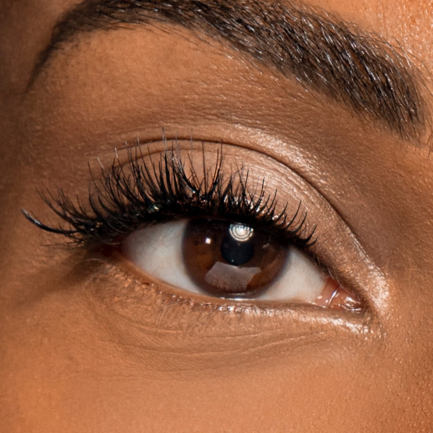 wet n wild Mega Protein Waterproof Mascara, Very Black, 0.21 Ounce,C154A Beauty & Personal Care wet n wild