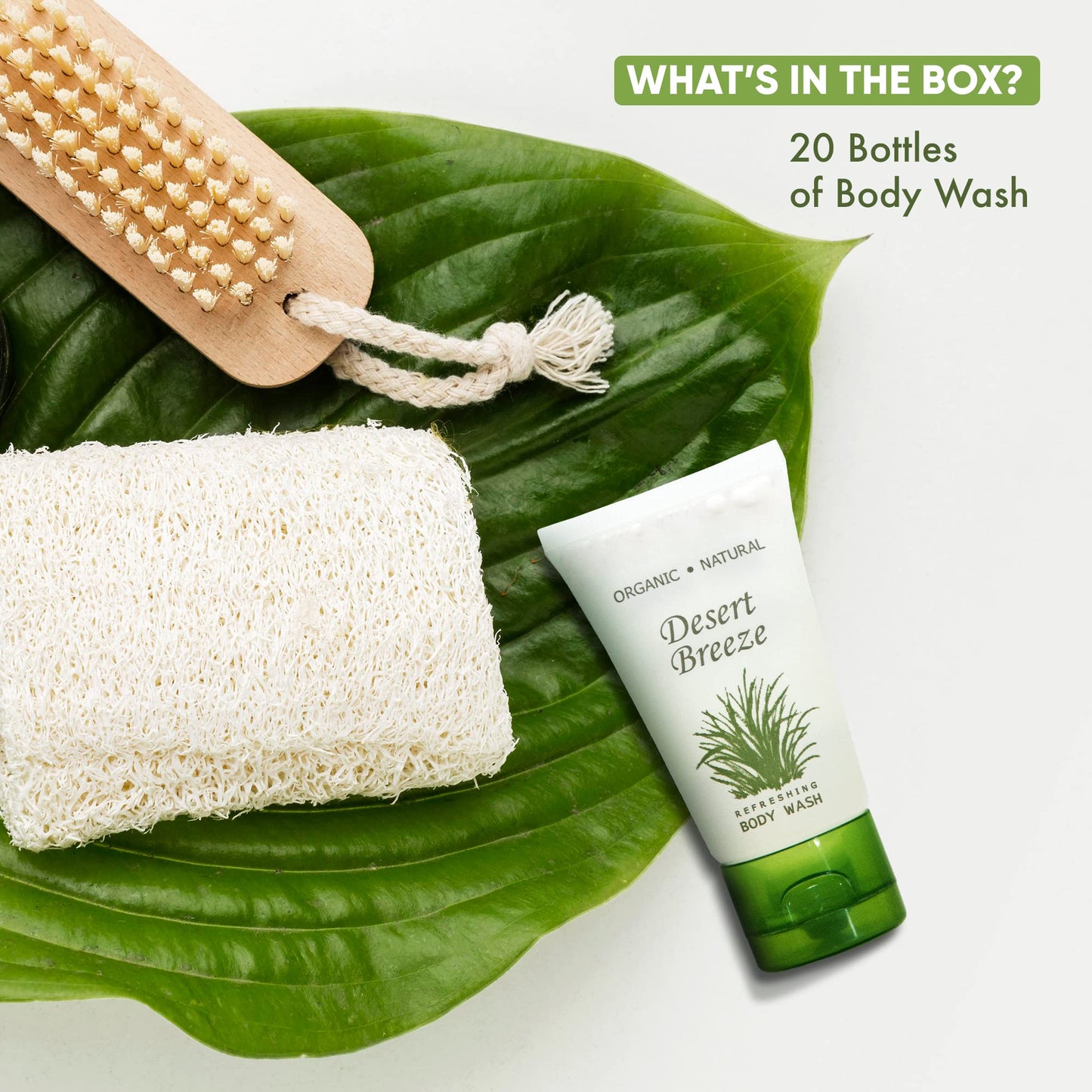 Travel Size Hotel Body Wash 20 Count 1 oz Bottles Guest Amenities for Vacation Rentals and Short Term Rentals Paraben Free Green Tea & Lemongrass Beauty & Personal Care Desert Breeze