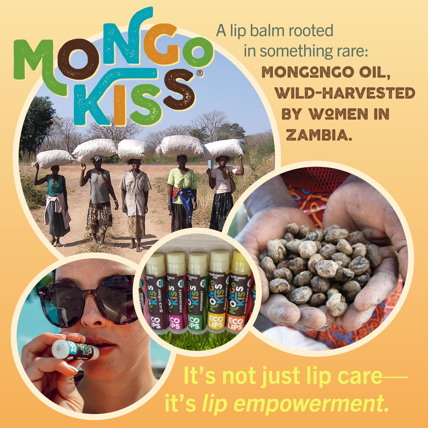 Eco Lips Mongo Kiss Organic Lip Balm 4 Pack Peppermint, Pomegranate, Vanilla Honey, Black Cherry - 100 Percent USDA Organic - Soothe, Moisturize Dry Beauty & Personal Care Eco Lips
