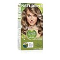 Naturtint Permanent Ash Blonde 8A 5.28OZ Beauty & Personal Care Naturtint