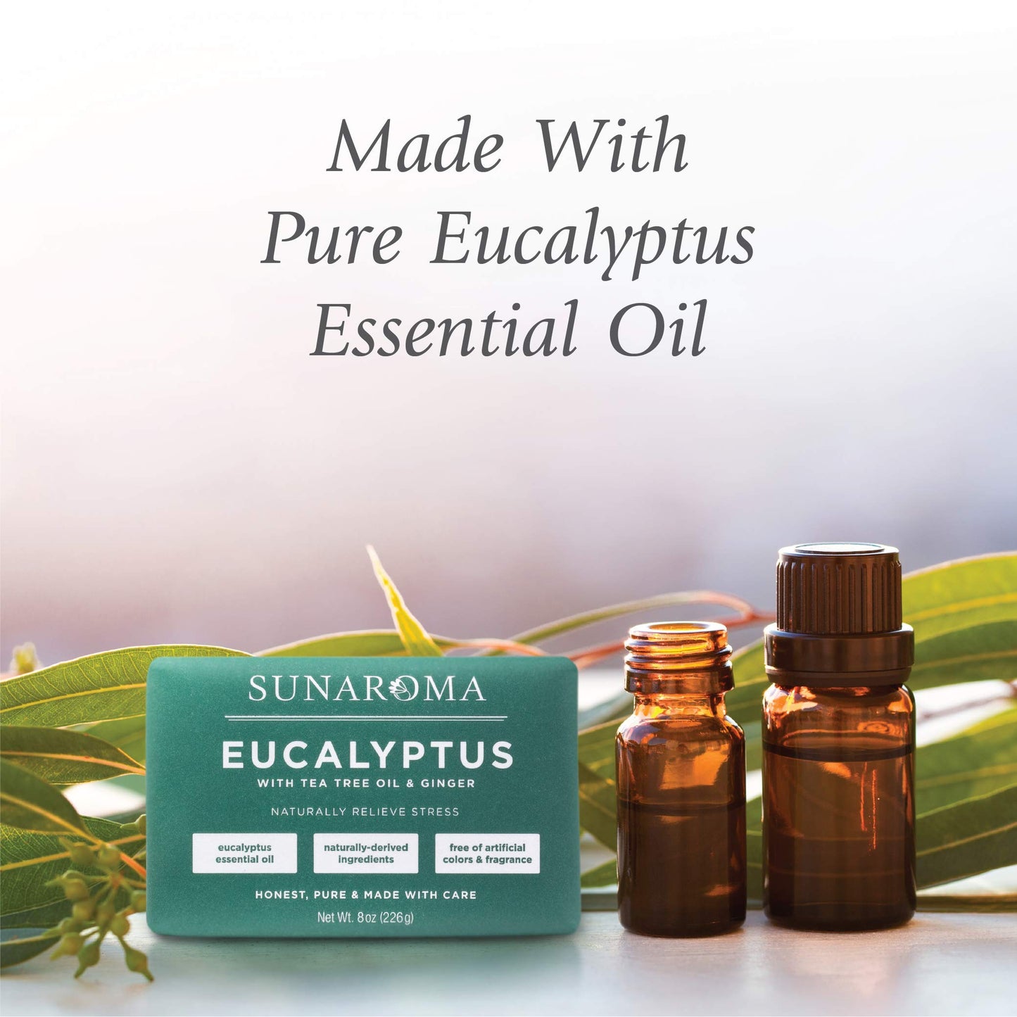 SUNAROMA Eucalyptus with Tea Tree Oil & Ginger Soap (Pack of 1) Beauty & Personal Care SUNAROMA