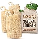 CraftsOfEgypt Natural Loofah Sponge - Egyptian Luffa Body Scrubber Pack of 3 for Men & Women, Natural Bath & Shower Loofah Exfoliator, All Natural Beauty & Personal Care CraftsOfEgypt