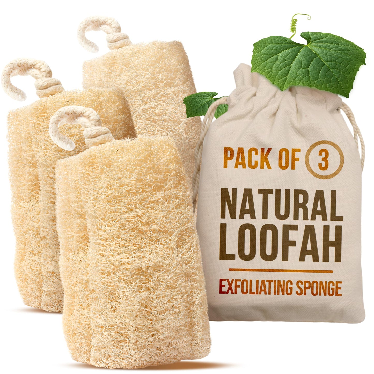 CraftsOfEgypt Natural Loofah Sponge - Egyptian Luffa Body Scrubber Pack of 3 for Men & Women, Natural Bath & Shower Loofah Exfoliator, All Natural Beauty & Personal Care CraftsOfEgypt