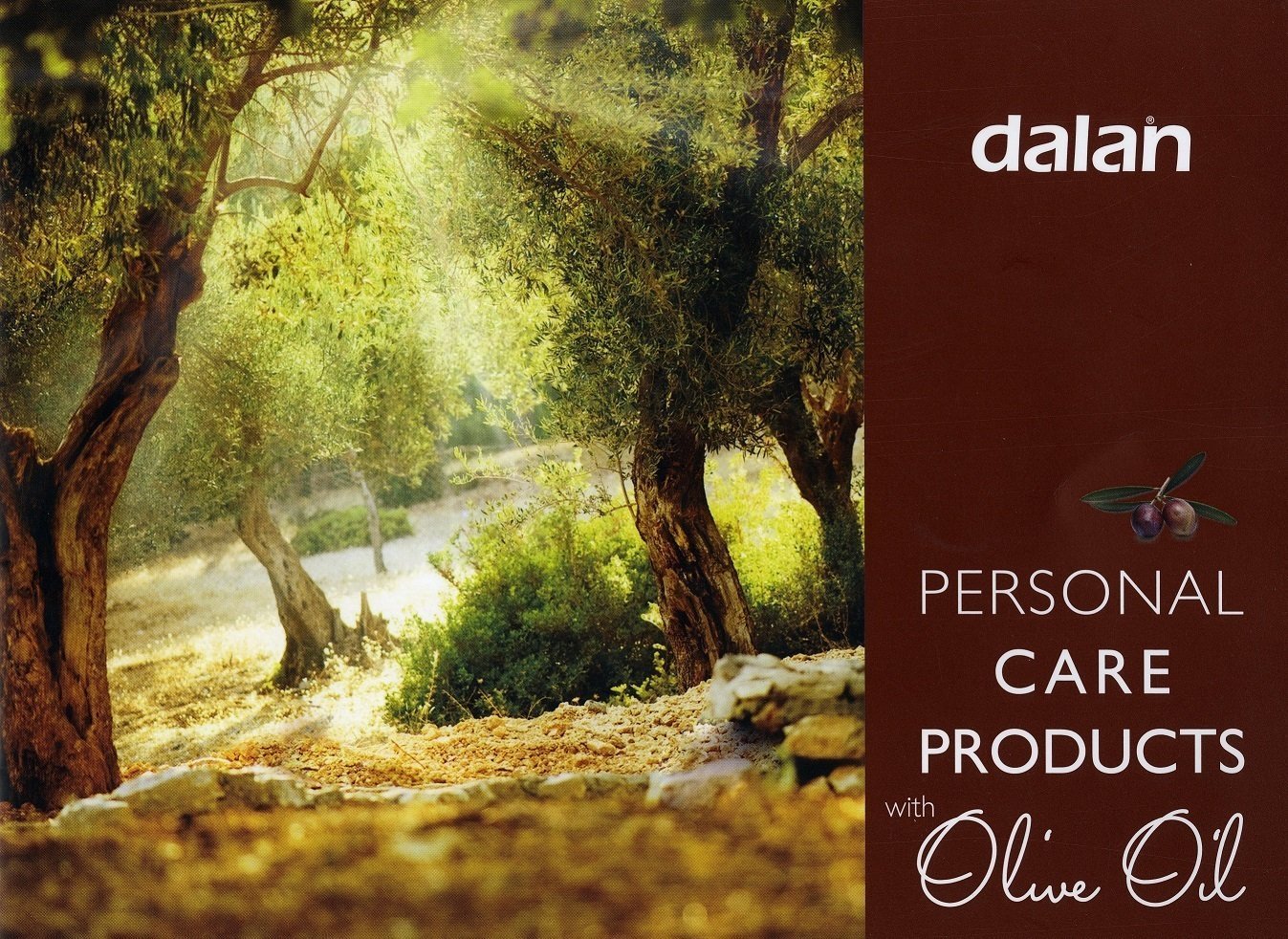 Dalan d`Olive Travel Kit, 5 Pieces - Shampoo, Hair Conditioner, Shower Gel, Bar Soap, Hand & Body Lotion Beauty & Personal Care Dalan