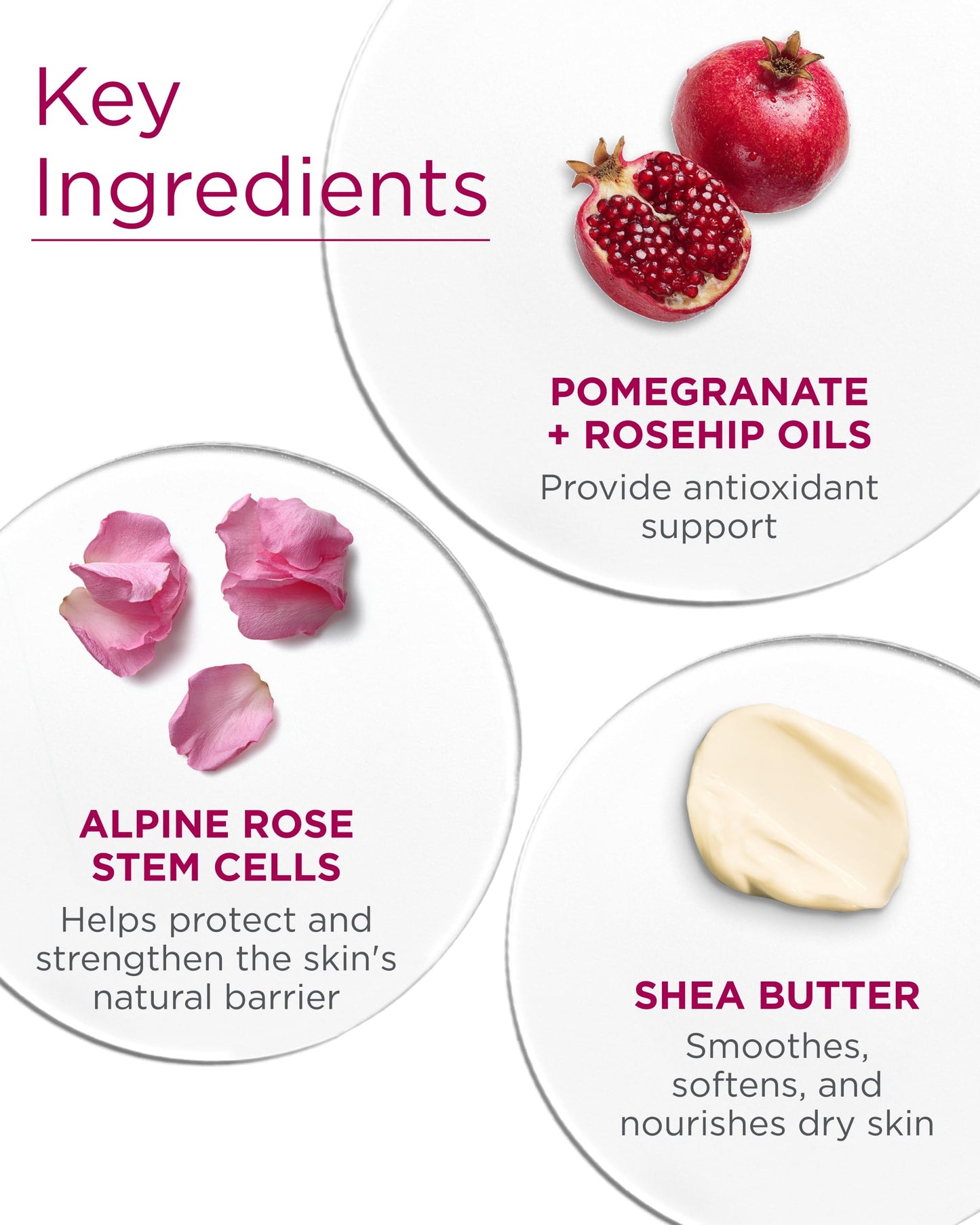 Andalou Naturals Body Lotion, 1000 Roses (8 OZ) Beauty & Personal Care Andalou Naturals