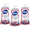 Dial Complete Foaming Hand Wash Antioxidant, Power Berries 7.5 oz (Pack of 3) Beauty & Personal Care Dial