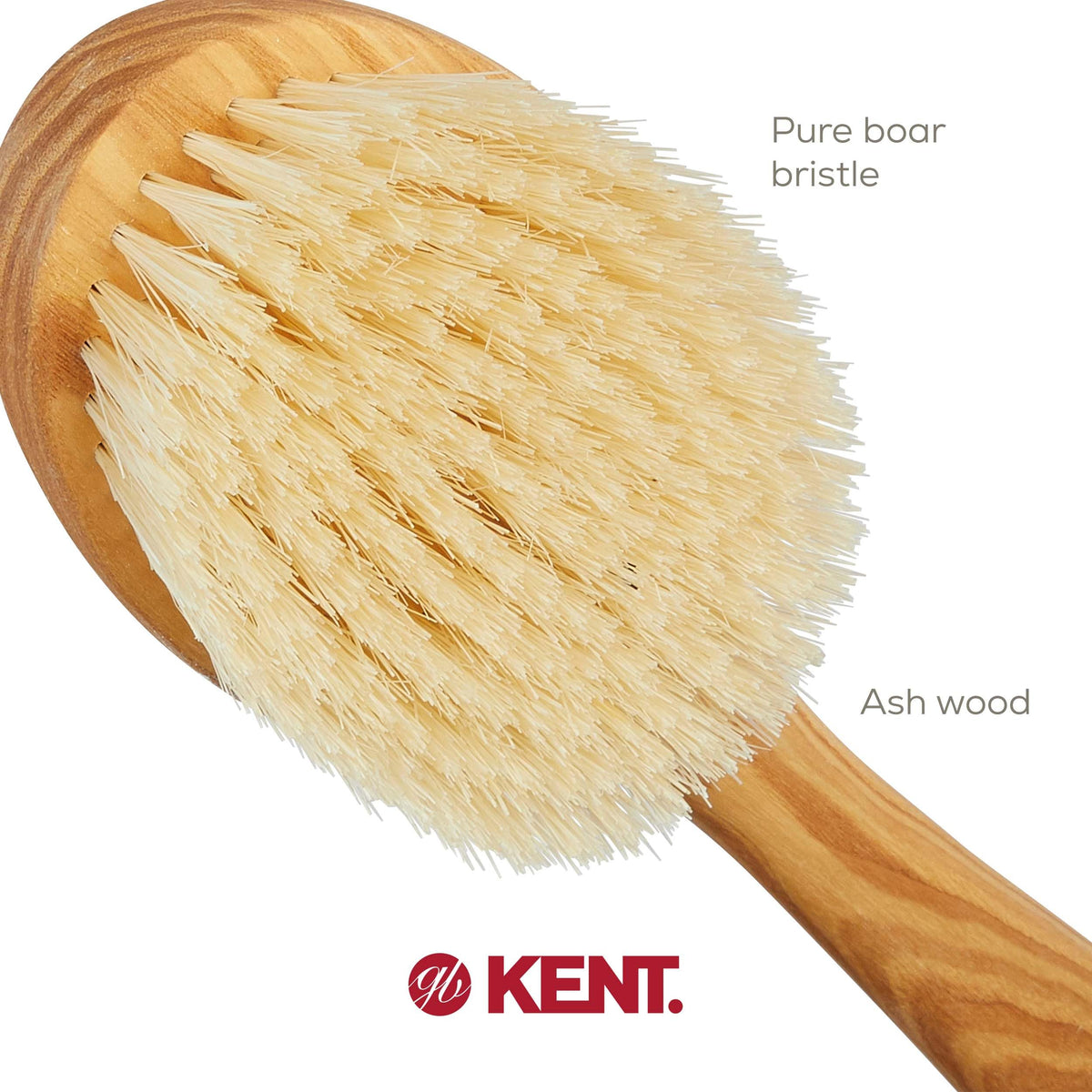 Kent FD10 Ashwood Back Scrubber for Shower Bath Brush and Body Scrubber Exfoliator - Boar Bristle Shower Brush for Body for Men and Women - Kent Brush Beauty and Personal Care KENT