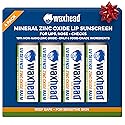 Waxhead Zinc Oxide Lip Balm - SPF Mineral Lip Sunscreen Chapstick for Kids and Adults, Non Nano Zinc Lip Balm for Sensitive Skin, Reef Safe (Mint 4 Beauty & Personal Care Waxhead Sun Defense Foods