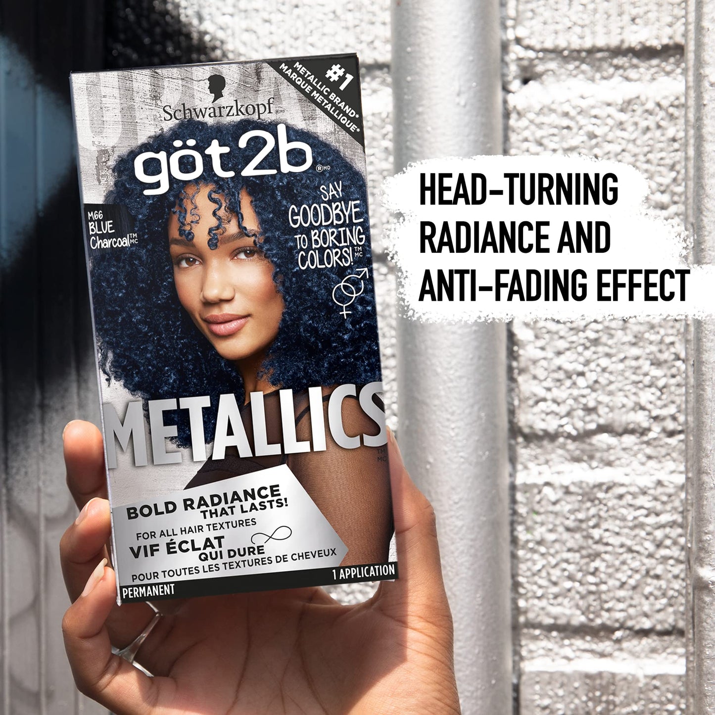 Got2B Metallics Permanent Hair Color, M66 Blue Charcoal Beauty & Personal Care Got2B