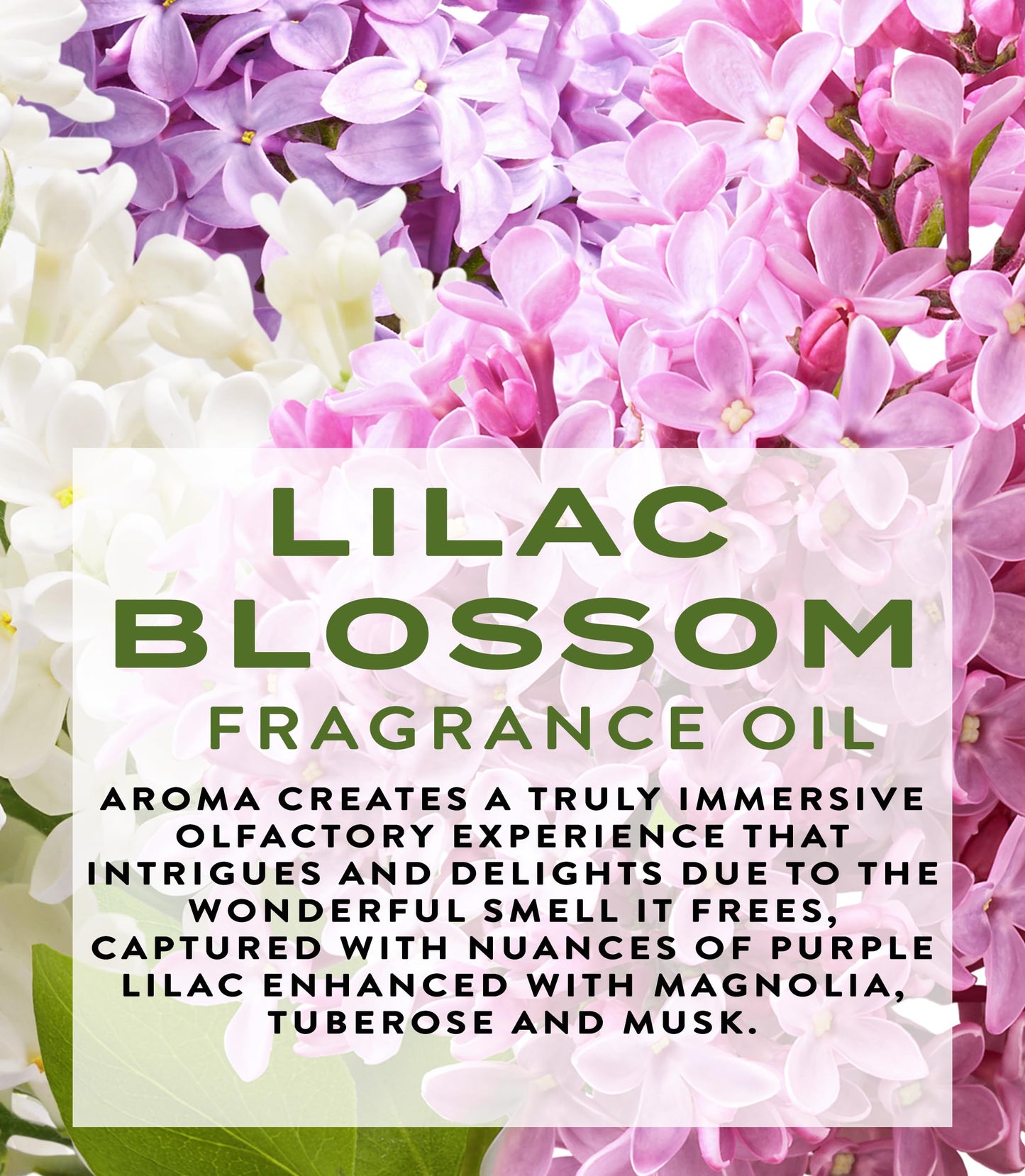 Botanical Beauty LILAC BLOSSOM FRAGRANCE OIL ROLL-ON 0.169 Fl. oz 5 ml Rollerball Perfume, Alcohol-Free, Long Lasting Beauty & Personal Care Botanical Beauty