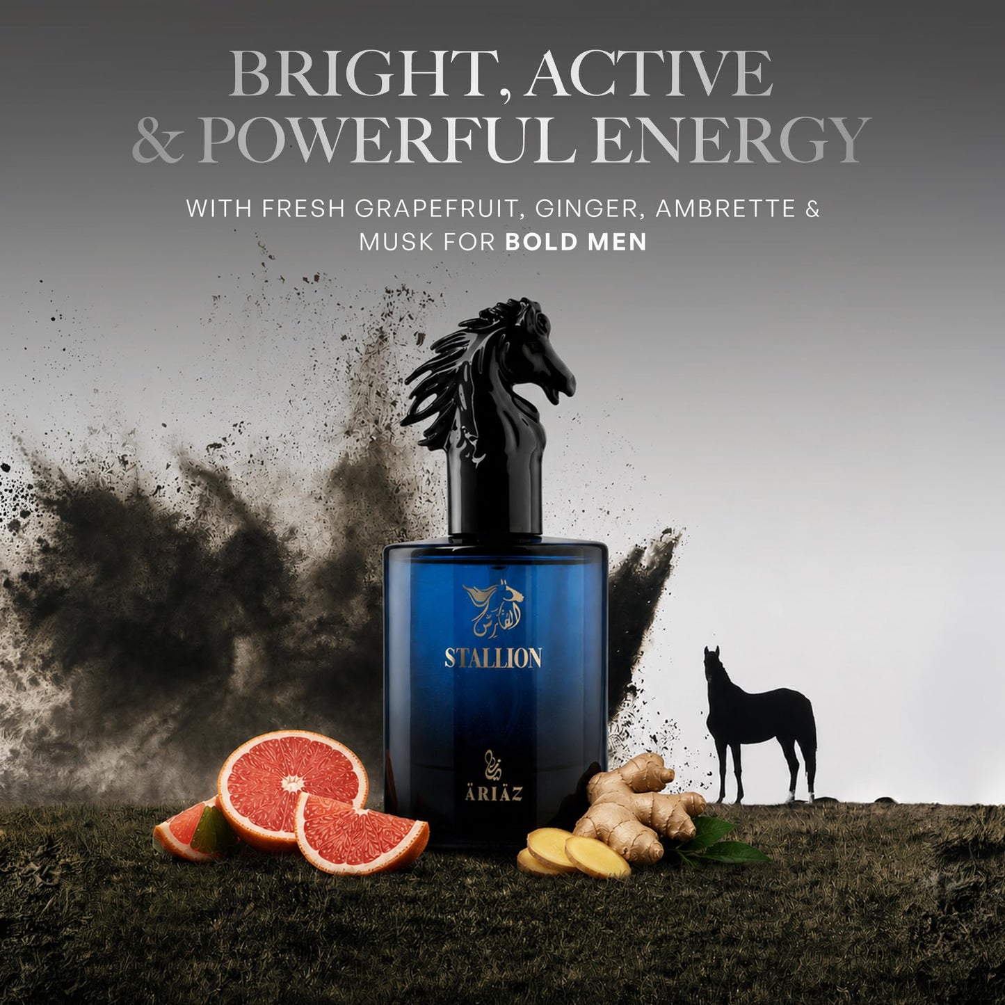 ARIAZ Stallion Eau De Parfum for Bright, Active & Powerful Energy with Fresh Grapefruit, Ginger, Ambrette & Musk for Bold Men - Long Lasting Oil Based Beauty & Personal Care ARIAZ