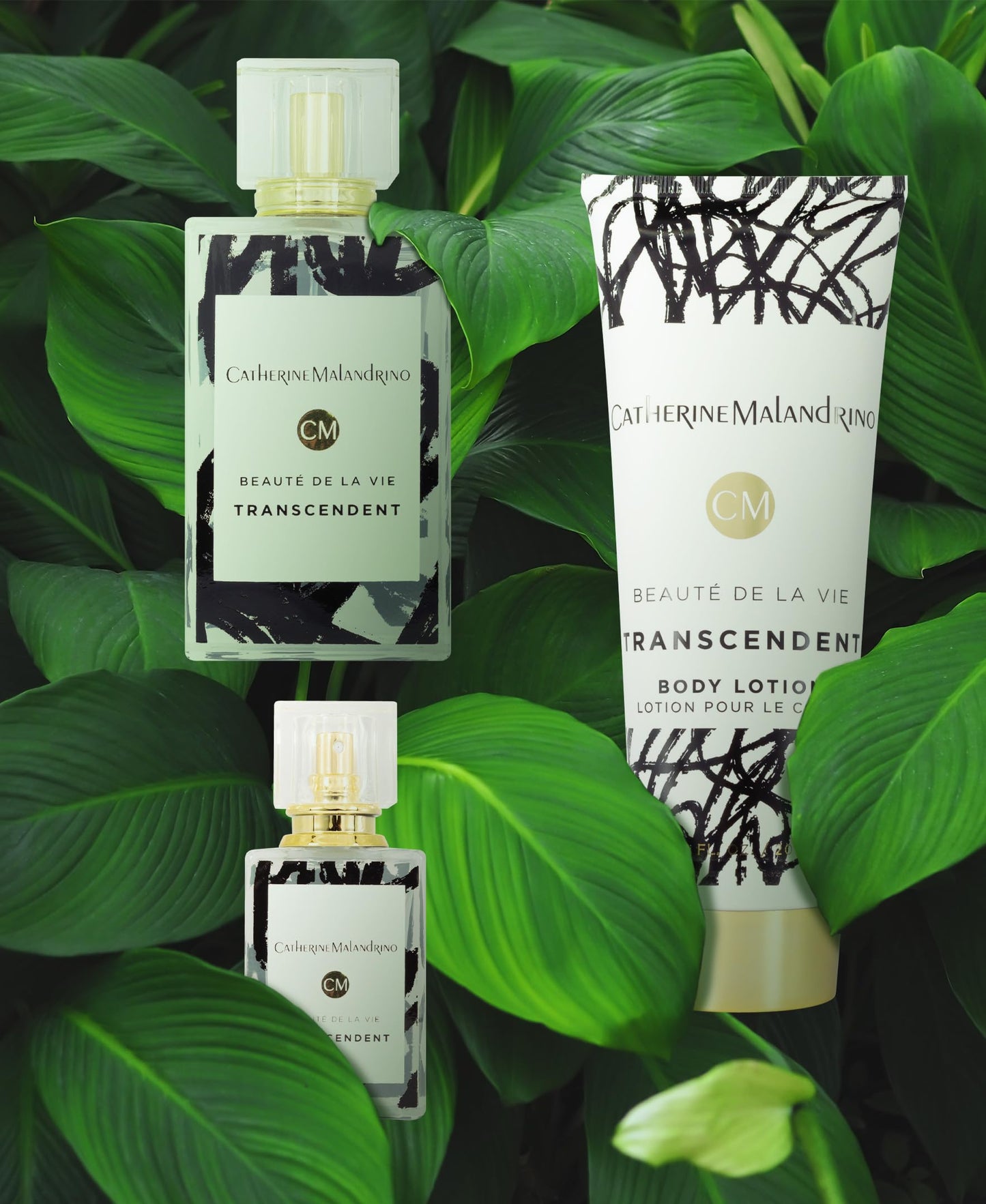 Transcendent by Catherine Malandrino Eau de Parfum 3 Piece Gift Set for Women Beauty & Personal Care Catherine Malandrino