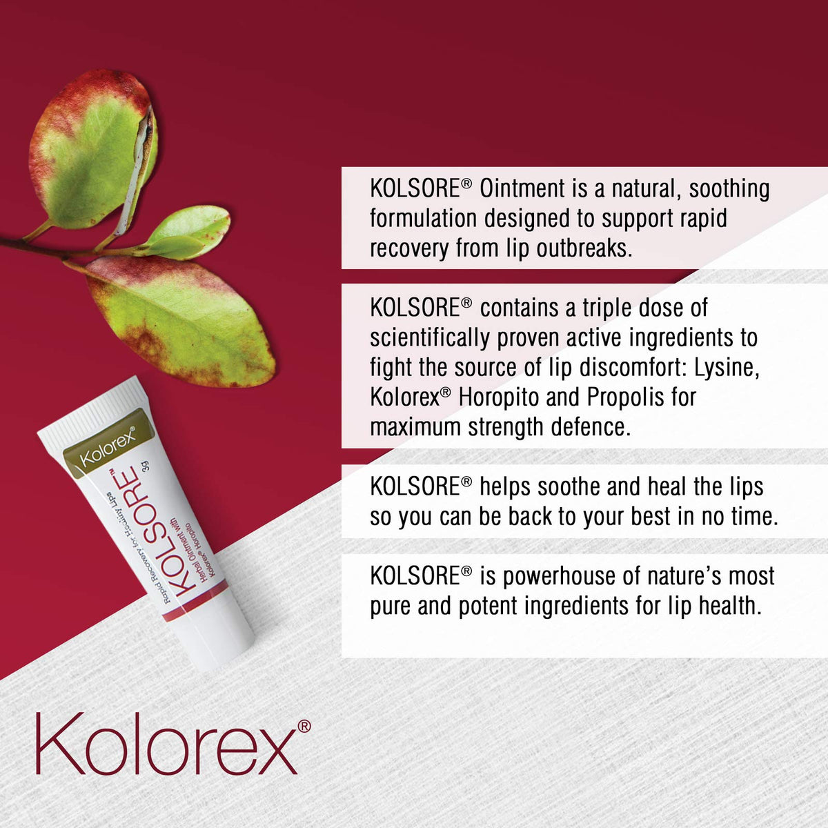 Kolorex® KOLSORE Lip Care Ointment Beauty & Personal Care Kolorex