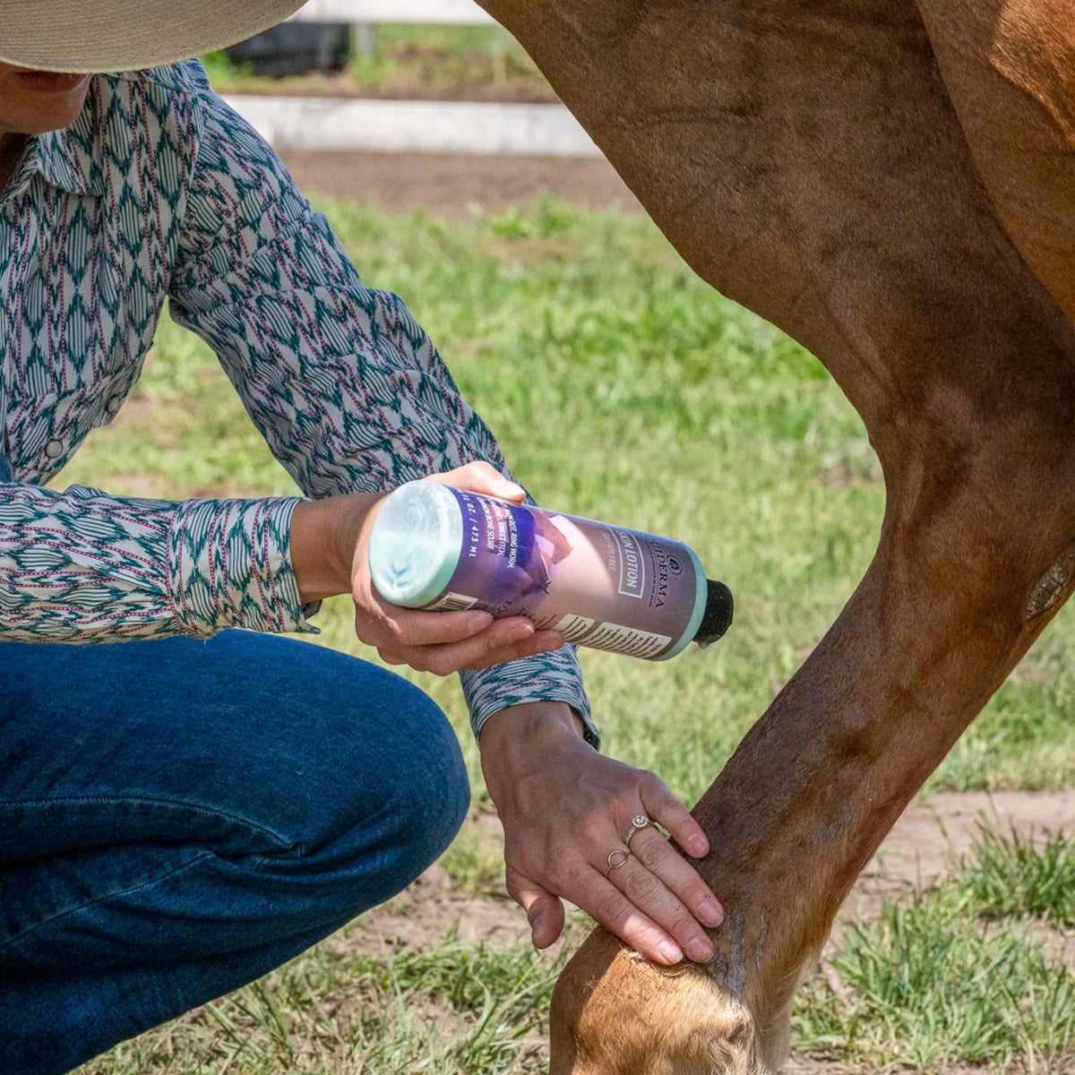 EQUIDERMA Horse Skin Lotion - 16 oz | All-in-One Equine Skin Care for Cannon Bone Scurf, Mane & Tail Itching, Midline Irritation, Dry Patches & Coat