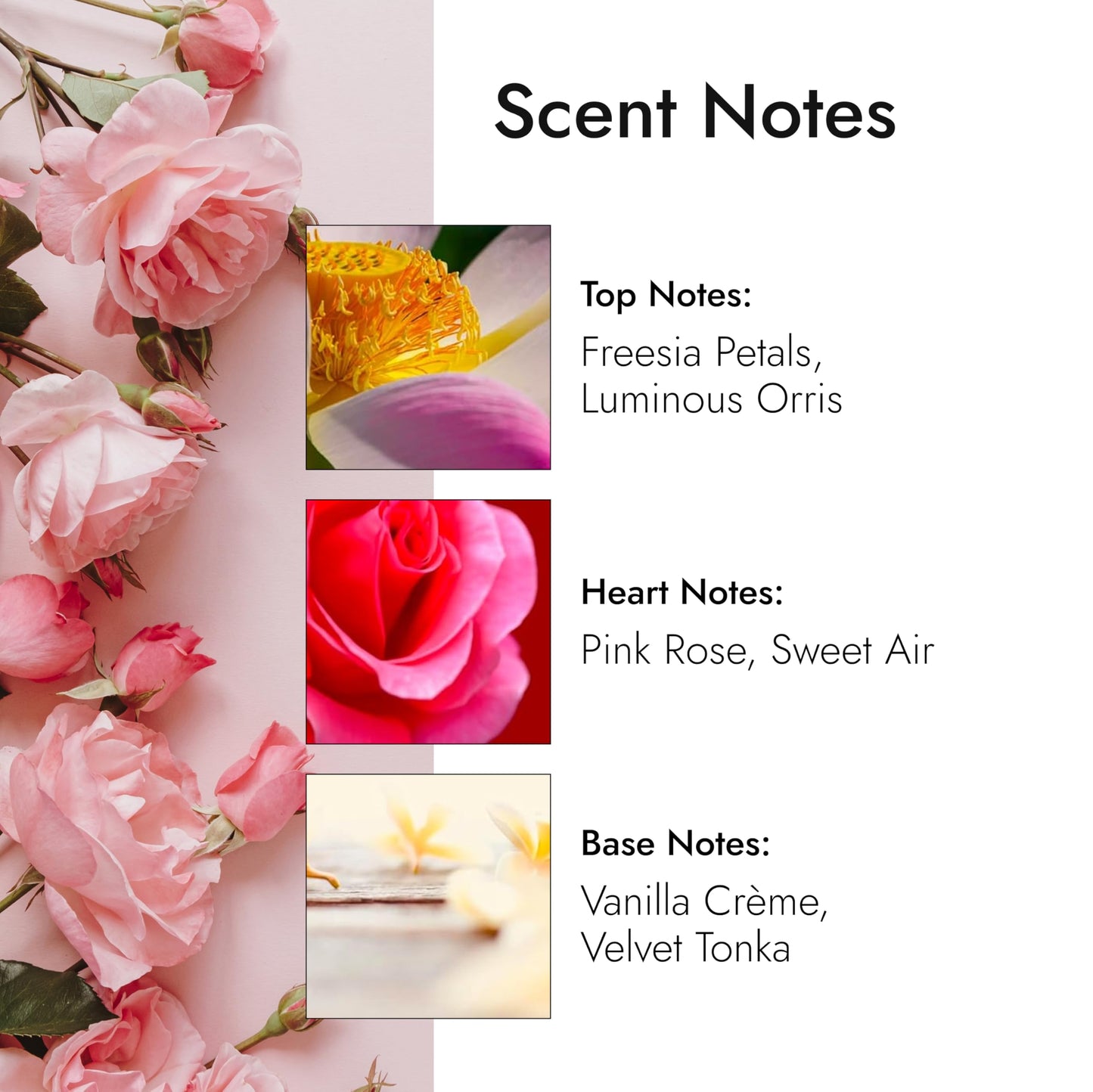 Modern Memory Atomic Flower Eau de Parfum for Women, 2.5 fl oz - Notes of Freesia Petals, Pink Rose & Vanilla Beauty & Personal Care Modern Memory