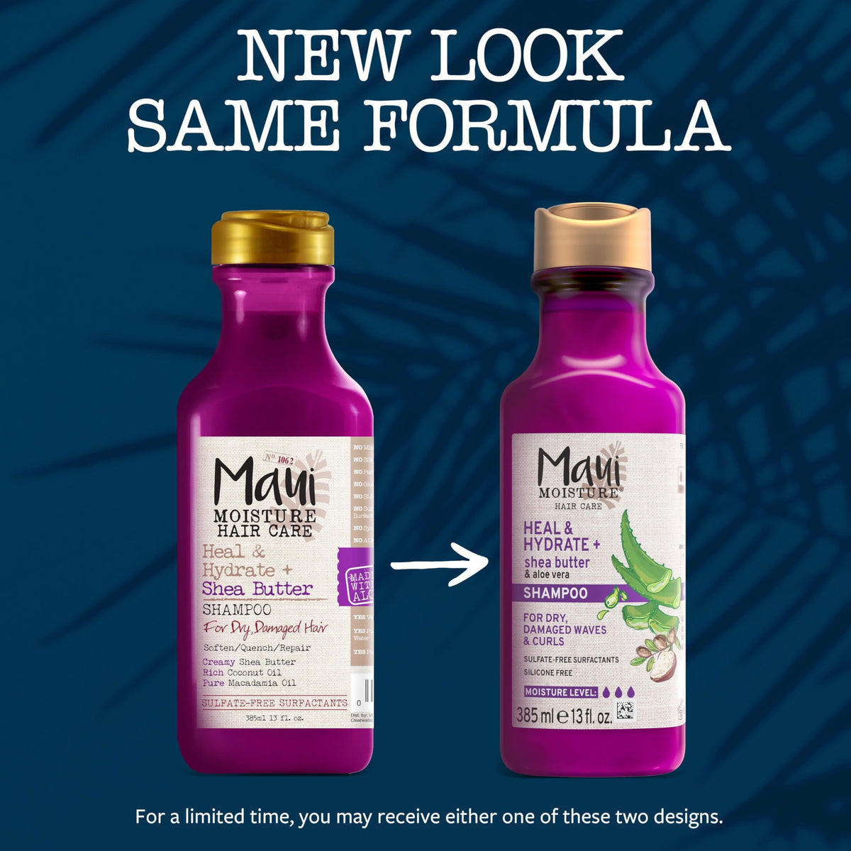 Maui Moisture Heal & Hydrate + Shea Butter Shampoo to Repair & Deeply Moisturize Tight Curly Hair with Coconut & Macademia Oils, Vegan, Silicone,