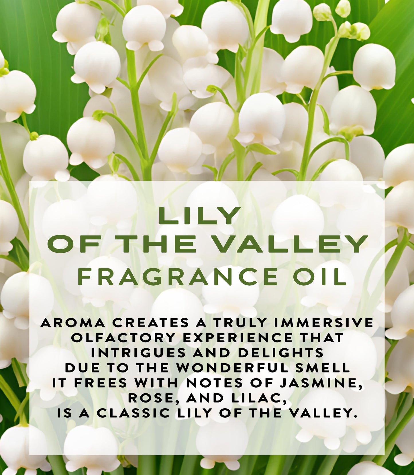 Botanical Beauty LILY OF THE VALLEY FRAGRANCE OIL ROLL-ON 0.169 FL OZ (5 ML) Rollerball Perfume, Alcohol-Free, Long Lasting Beauty & Personal Care Botanical Beauty