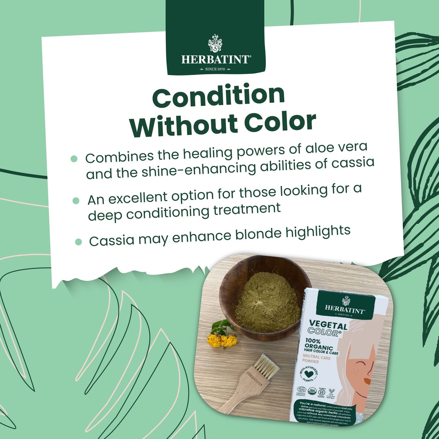Herbatint Henna Color Organic Hair Care Treatment - Plant-Based Henna Powder & Herbal Formula - Vegan - Neutral Care - 3.5 oz Beauty & Personal Care Herbatint