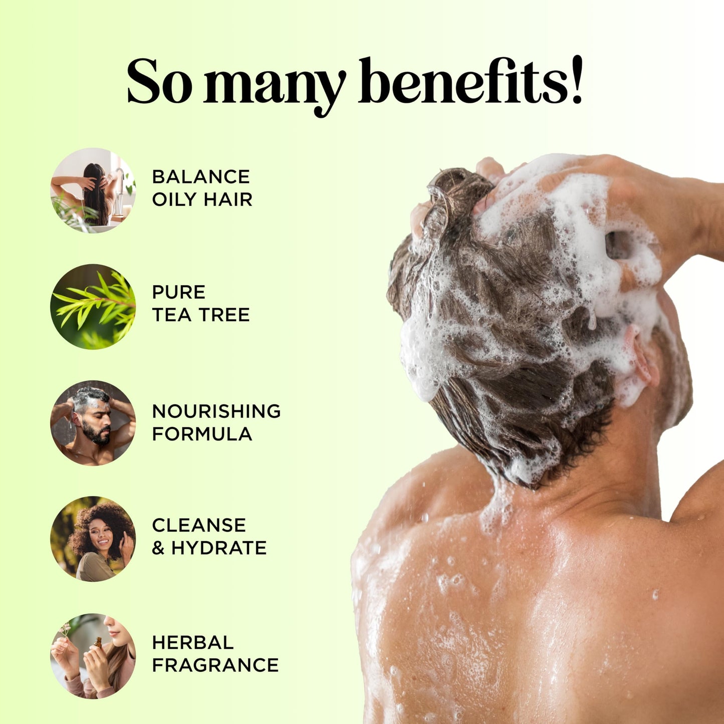 Tea Tree Shampoo and Conditioner Set - Sulfate Free Clarifying Shampoo and Conditioner for Oily Hair & Scalp Care with Cleansing Tea Tree Oil Beauty & Personal Care Maple Holistics