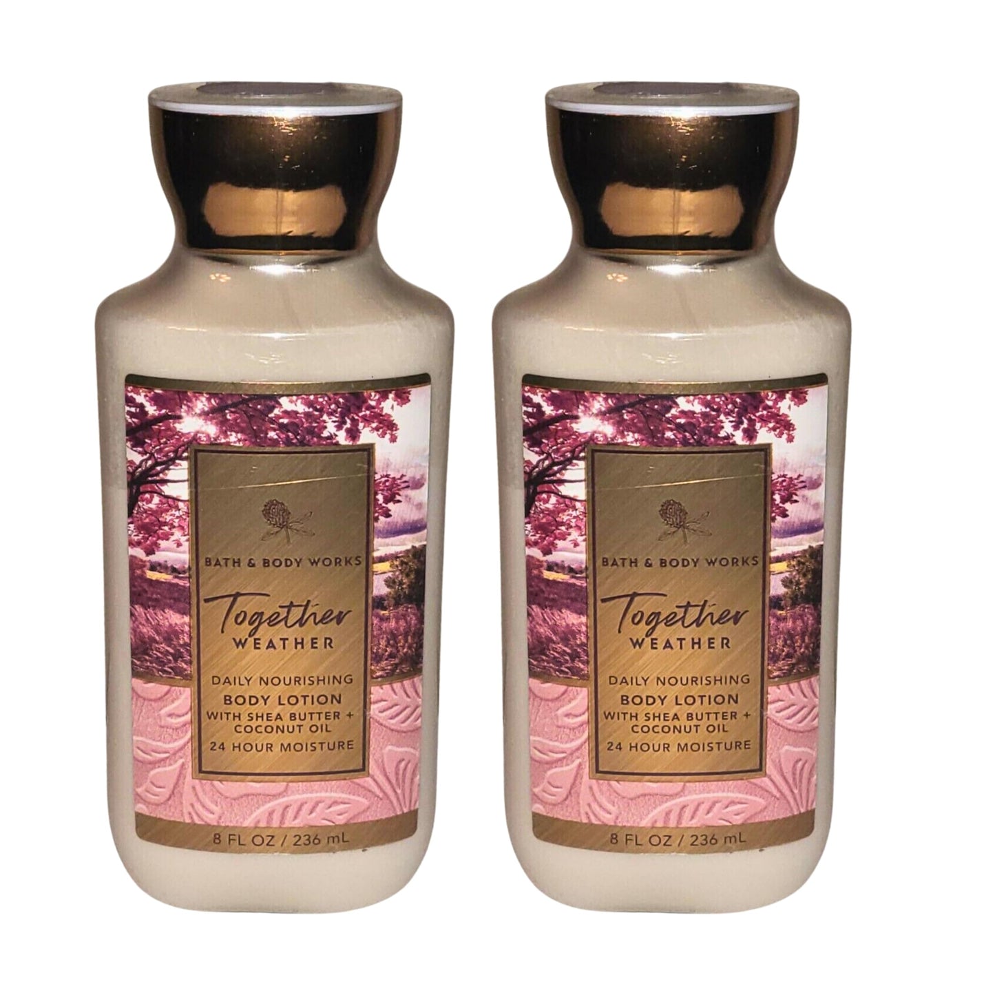 Bath and Body Works Body Lotion, Set of 2, 8oz Each (Together Weather) Beauty & Personal Care Bath & Body Works