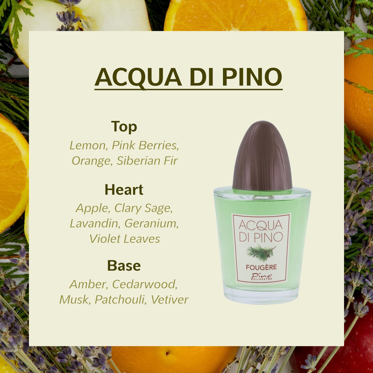 Acqua Di Pino Fougere By Pino Silvestre For Men - A Men's Eau De Toilette Cologne Perfume Spray With An Intense Fragrance For Every Guy - A Truly Male Beauty & Personal Care Pino Silvestre