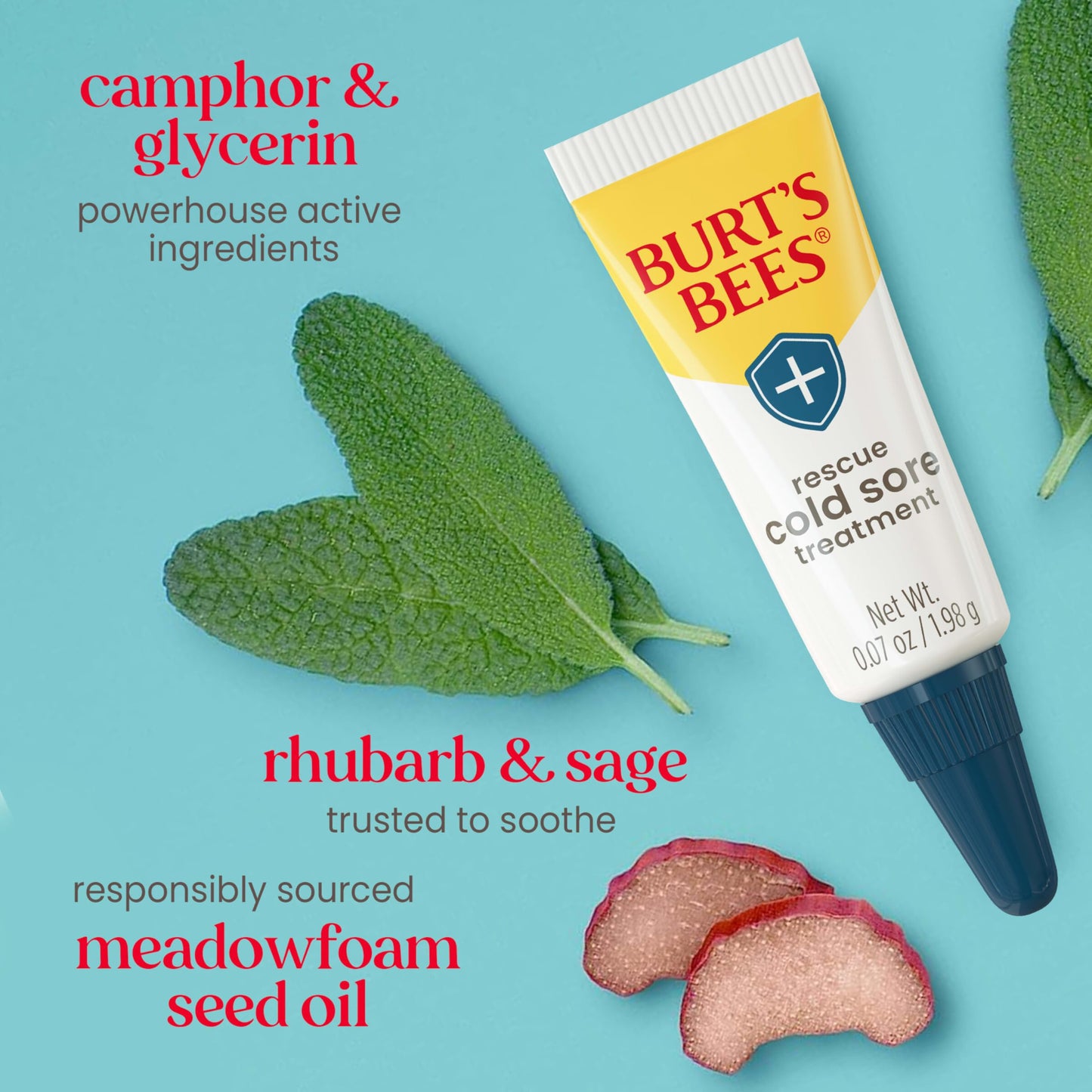 Burt's Bees Cold Sore Treatment and Medicated Lip Balm, With Menthol and Eucalyptus Oil, Natural Origin Skincare, 2 Tubes, 0.07 oz./0.15 oz. Beauty and Personal Care Burt's Bees