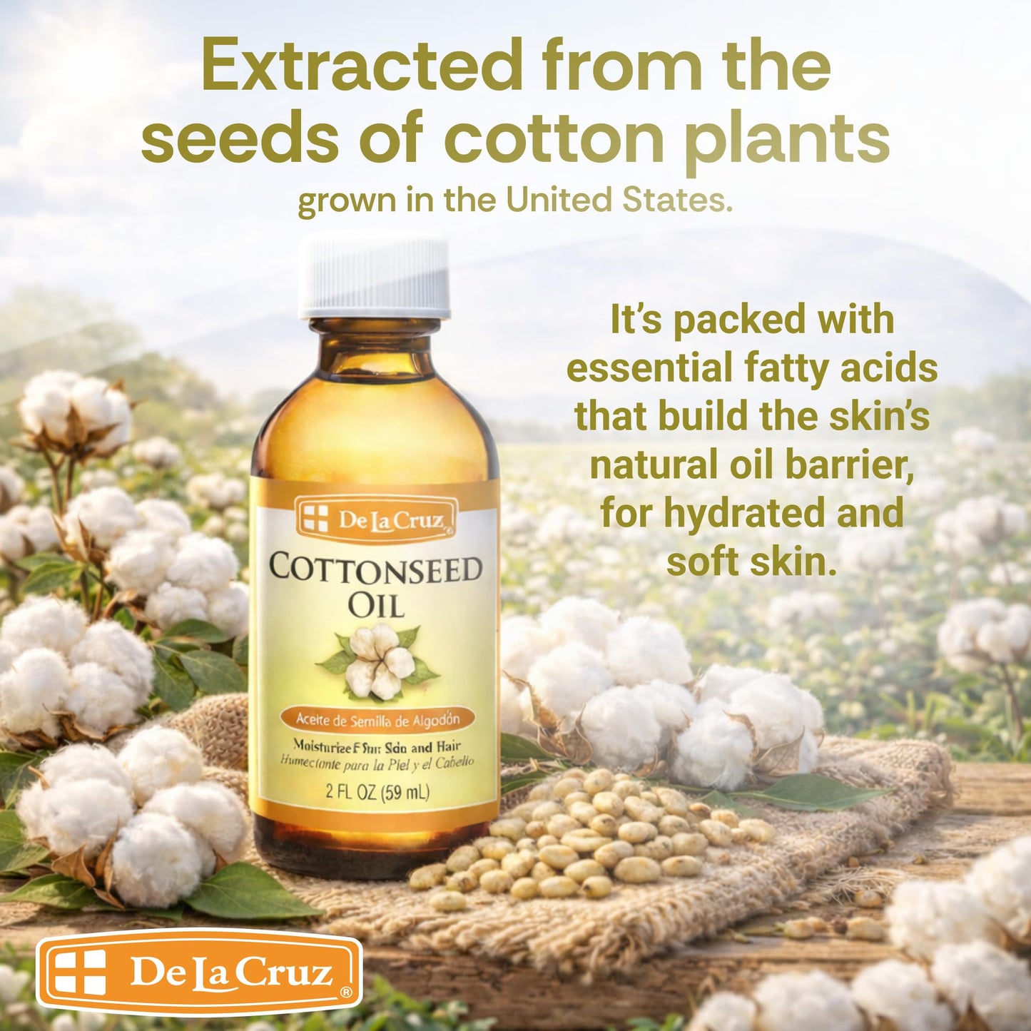 De La Cruz Cottonseed Oil - Moisturizer for Skin and Hair - Multipurpose Carrier Oil - 2 Fl OZ (1 Bottle) Beauty & Personal Care De La Cruz