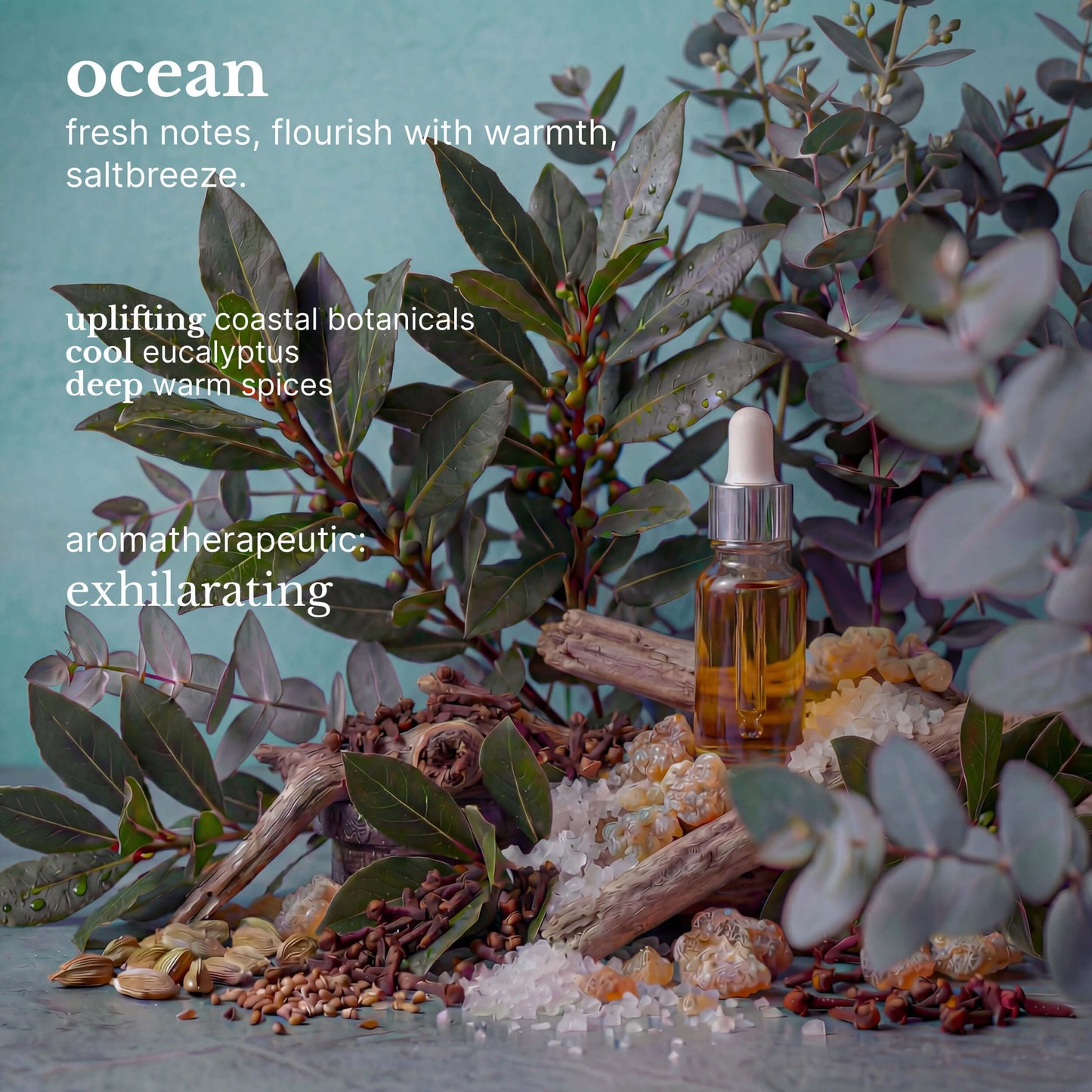 Red Flower Ocean Purifying Body Wash - Cleanse & Hydrate Botanical Shower Gel with Organic Fruit & Leaf Extracts for Hydrated, Radiant Skin (10 oz) Beauty & Personal Care Red Flower