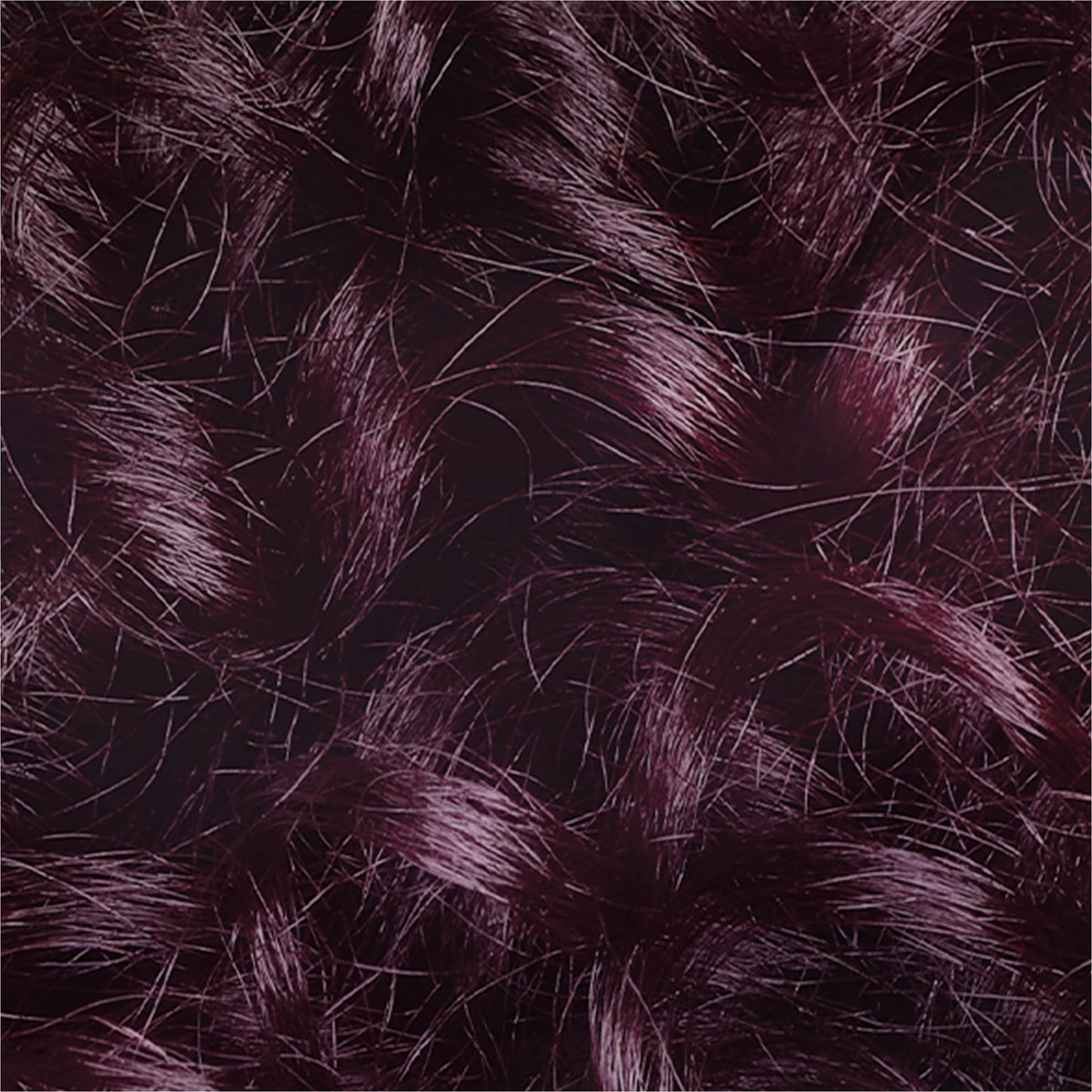 L’Oréal Paris Le Color Gloss One Step In-Shower Toning Hair Gloss, Neutralizes Brass, Conditions & Boosts Shine, Iridescent Plum Purple, 4 Ounce Beauty & Personal Care L'Oreal Paris