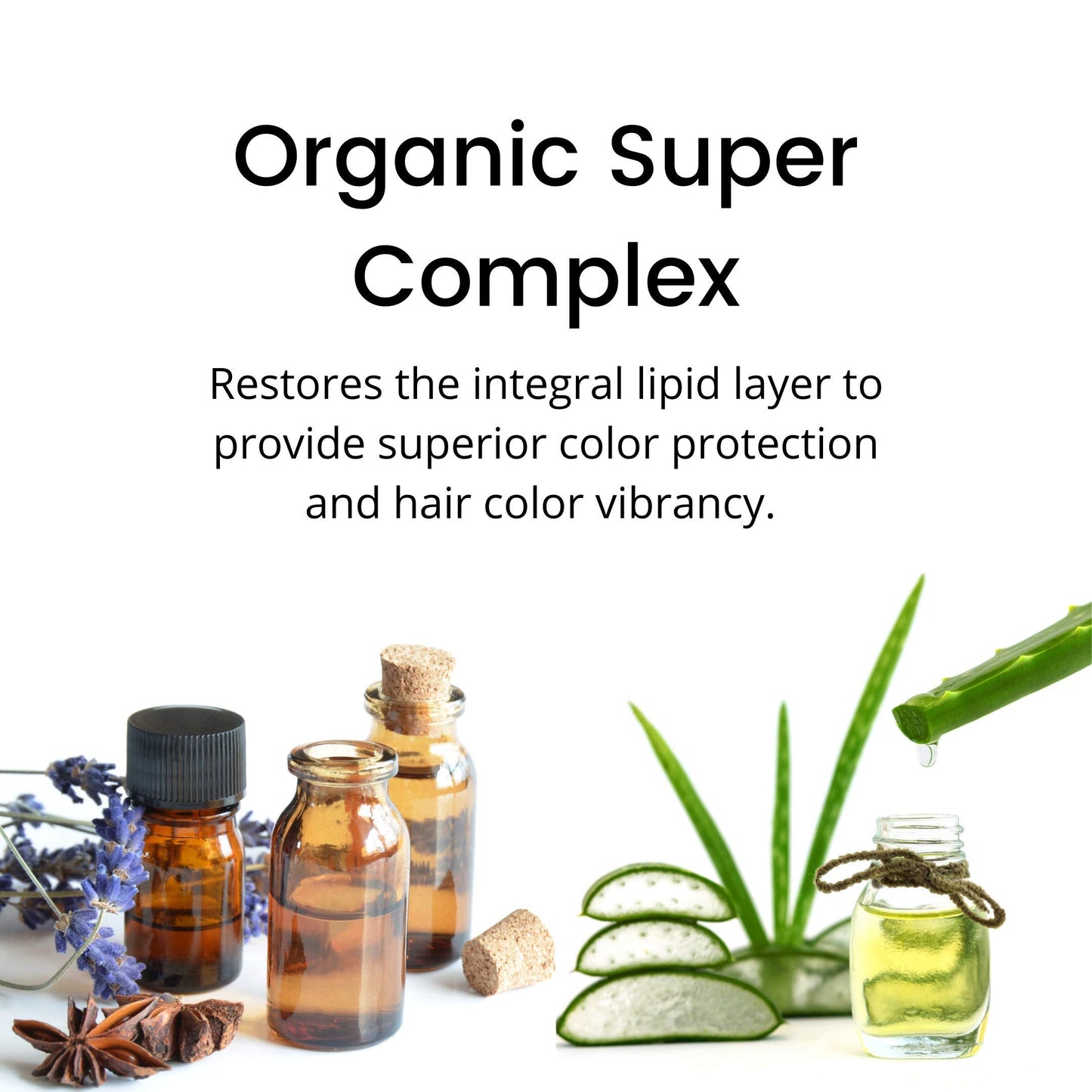 COLURE Super Luxe Conditioner Instantly Repairs Dry, Damaged Color-Treated Hair. A Vegan, Organic, Conditioner, and Hair Treatment. Beauty & Personal Care COLURE