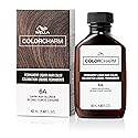 COLORCHARM Permanent Liquid Hair Color for Gray Coverage| 6A Dark Smokey Ash Blonde | 1.4 Fl Oz Beauty & Personal Care COLORCHARM