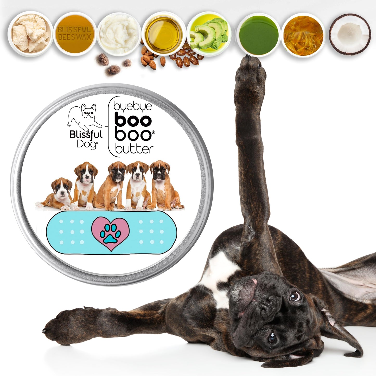 The Blissful Dog 2 oz TIN Boxer Booboo Butter Beauty and Personal Care The Blissful Dog