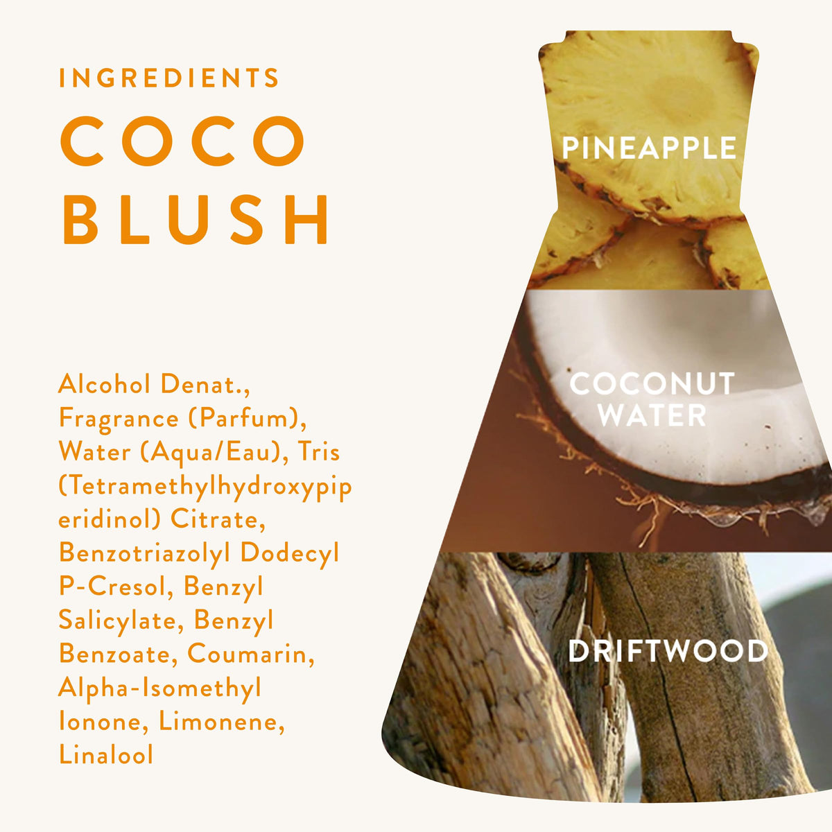 Good Chemistry Coco Blush Eau de Parfum 1.7 fl oz - Long-Lasting Perfume with Coconut Water, Pineapple, & Driftwood - Carefree, Clean & Vegan Beauty & Personal Care Good Chemistry