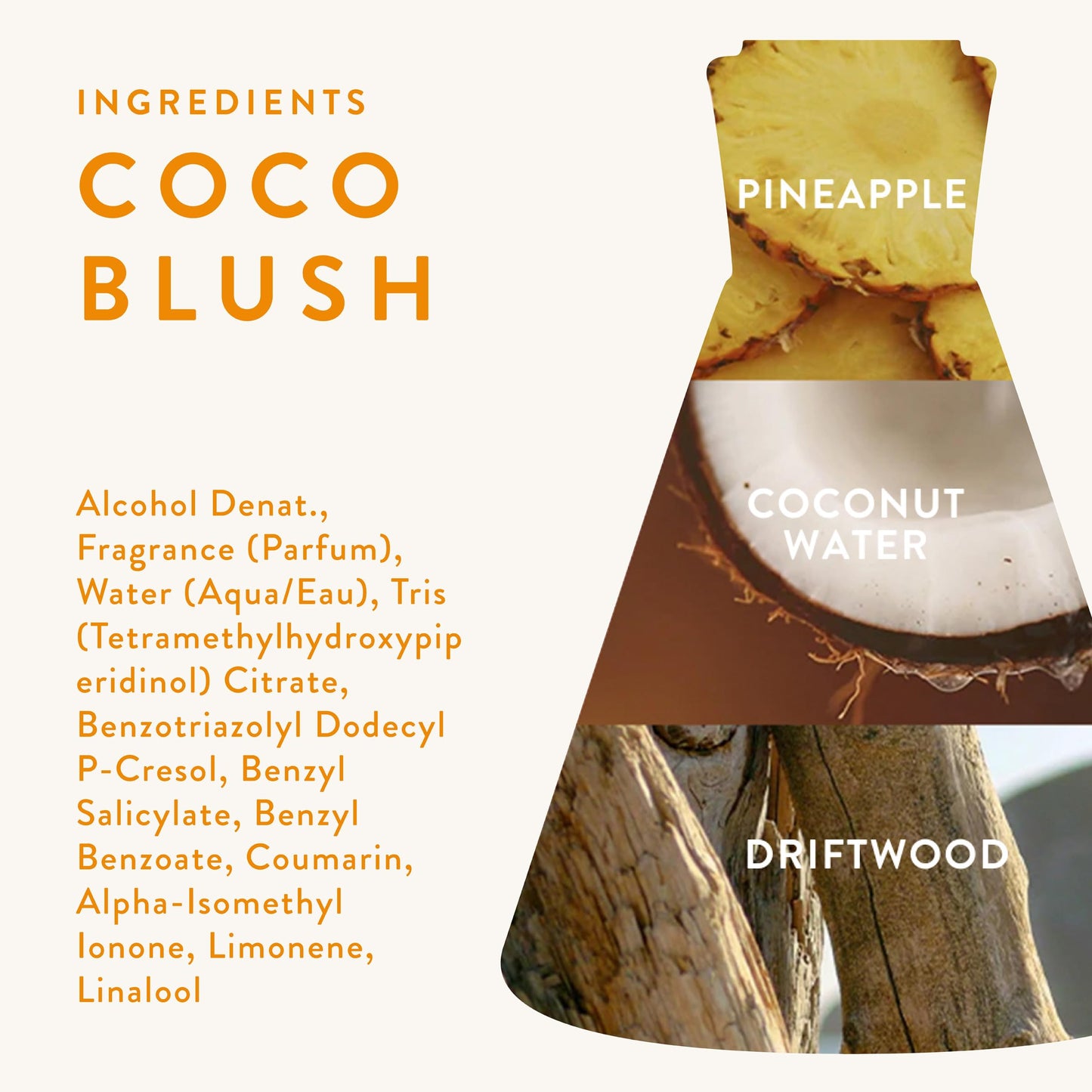 Good Chemistry Coco Blush Body Mist 5 fl oz - Light, Tropical, Fresh Spray with Coconut Water, Pineapple, & Driftwood - Carefree, Clean & Vegan Beauty & Personal Care Good Chemistry