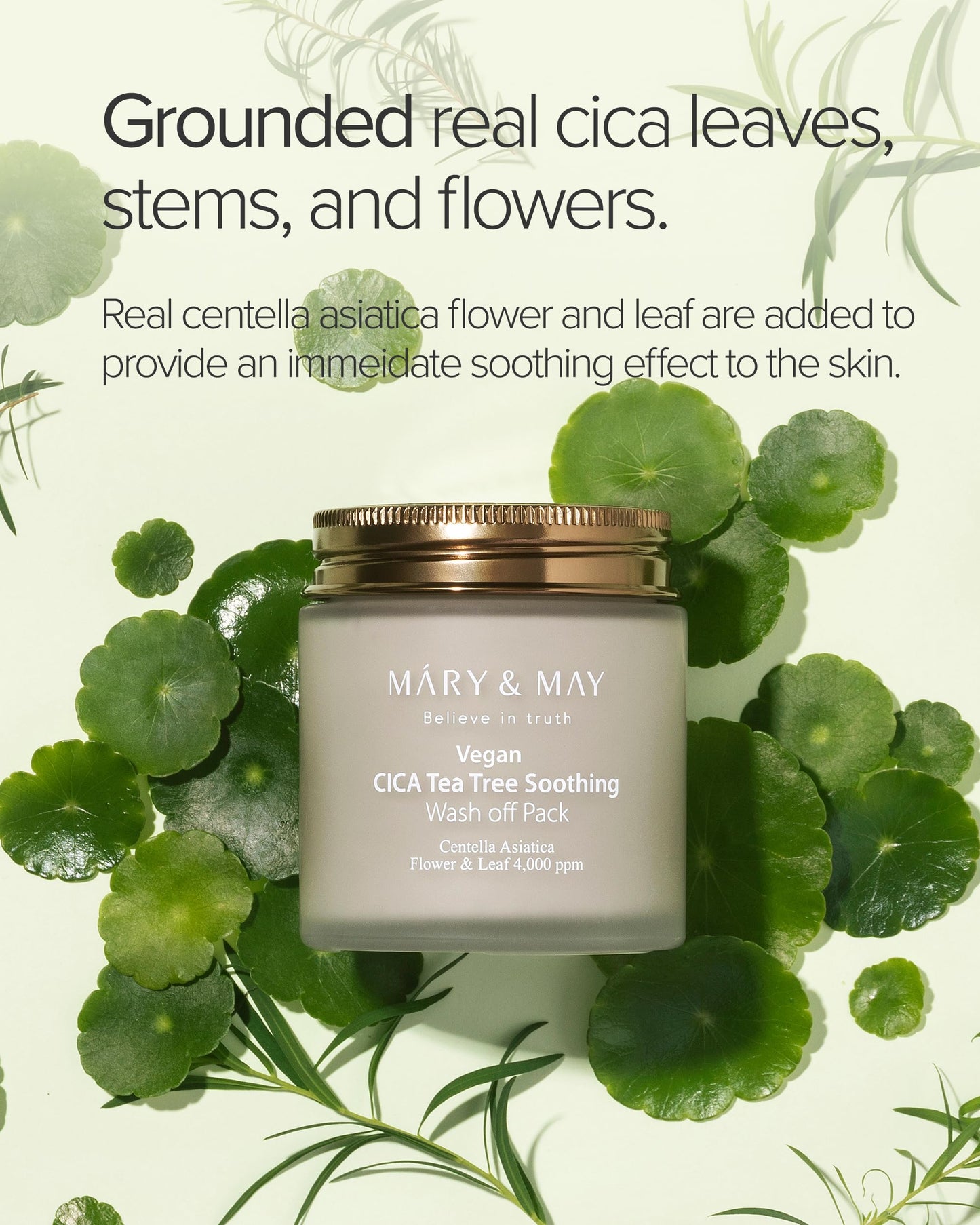 Mary&May Vegan Cica Tea Tree Soothing Wash Off Pack - Natural Centella Clay Mask for Sensitive Skin, Relieves Irritation, Cleanses Pores Beauty & Personal Care Mary&May