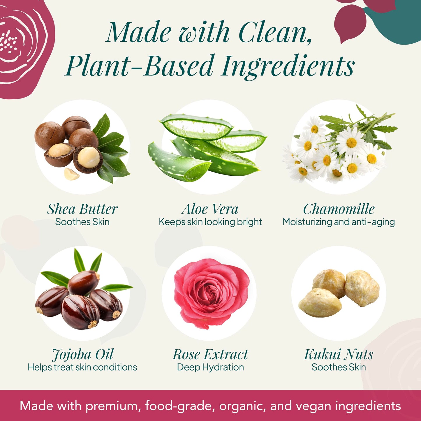 Saavy Naturals Moisturizing Body Wash for Sensitive Skin- Plant-Based & Pure with Coconut Oil, Shea Butter & Aloe Vera - Paraben-Free, Cruelty-Free Beauty & Personal Care Saavy Naturals