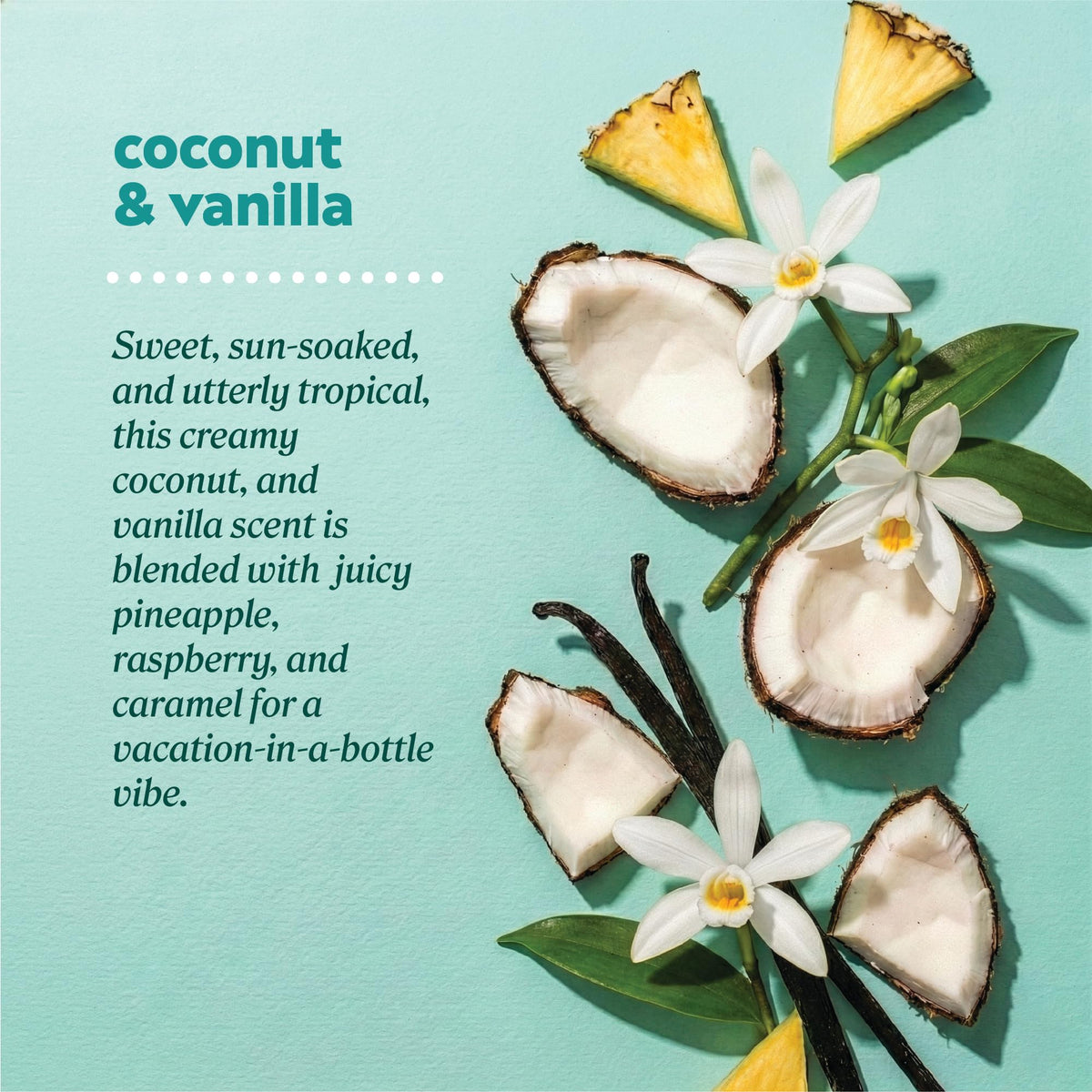 Onyx Professional Hydrating Shimmer Mist with Squalane & Coconut Oil, Coconut Bliss, 6.5 fl oz, 2pk - Shimmer Hair and Body Mist Creates a Radiant Beauty & Personal Care Onyx Professional