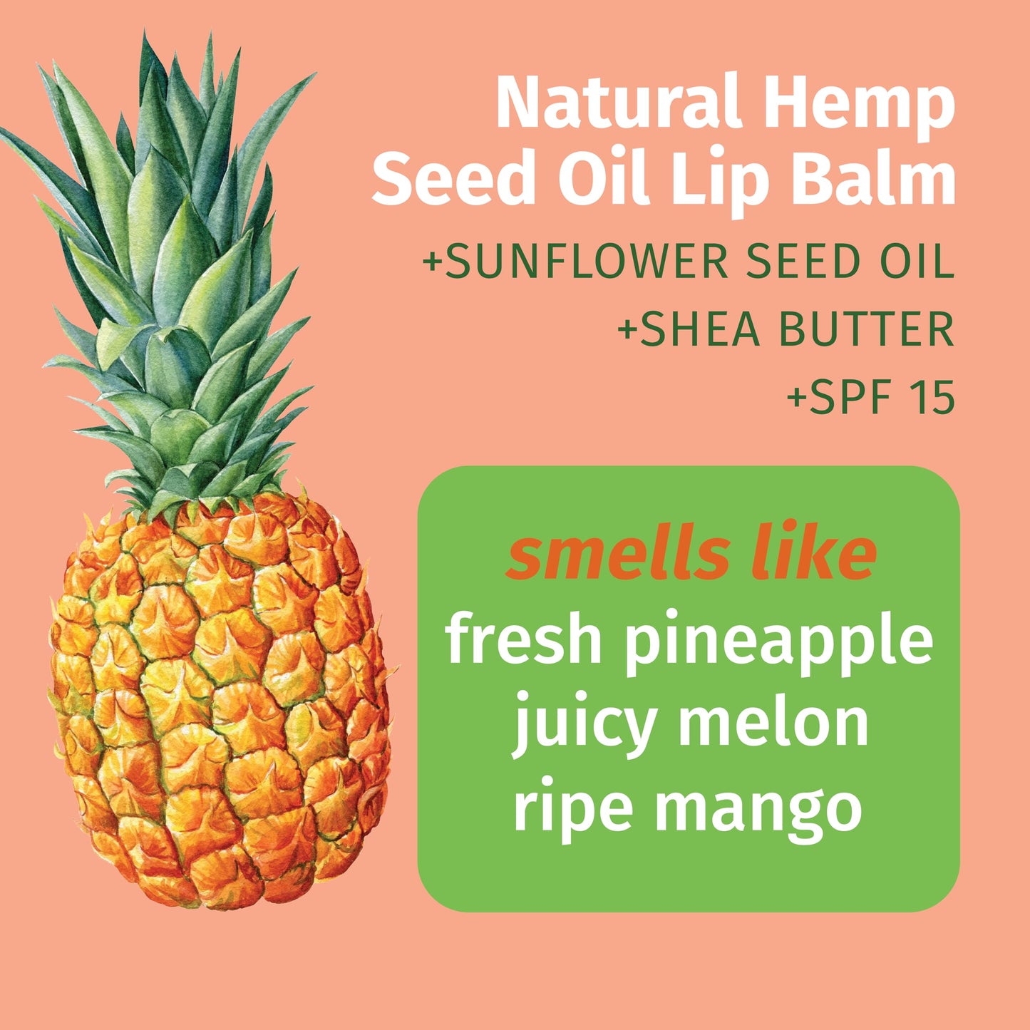 Hempz SPF 15 Lip Balm, Sweet Pineapple & Honey Melon Herbal Soothing Lip Care, for Men or Women .44 oz. Beauty and Personal Care Hempz